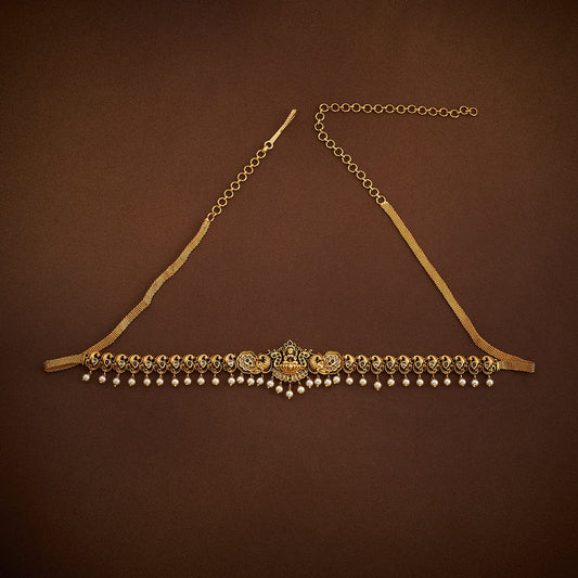 Antique Belt 166057